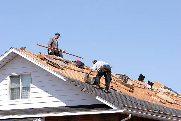 Best Roof Maintenance and Cleaning  in Anthem, AZ